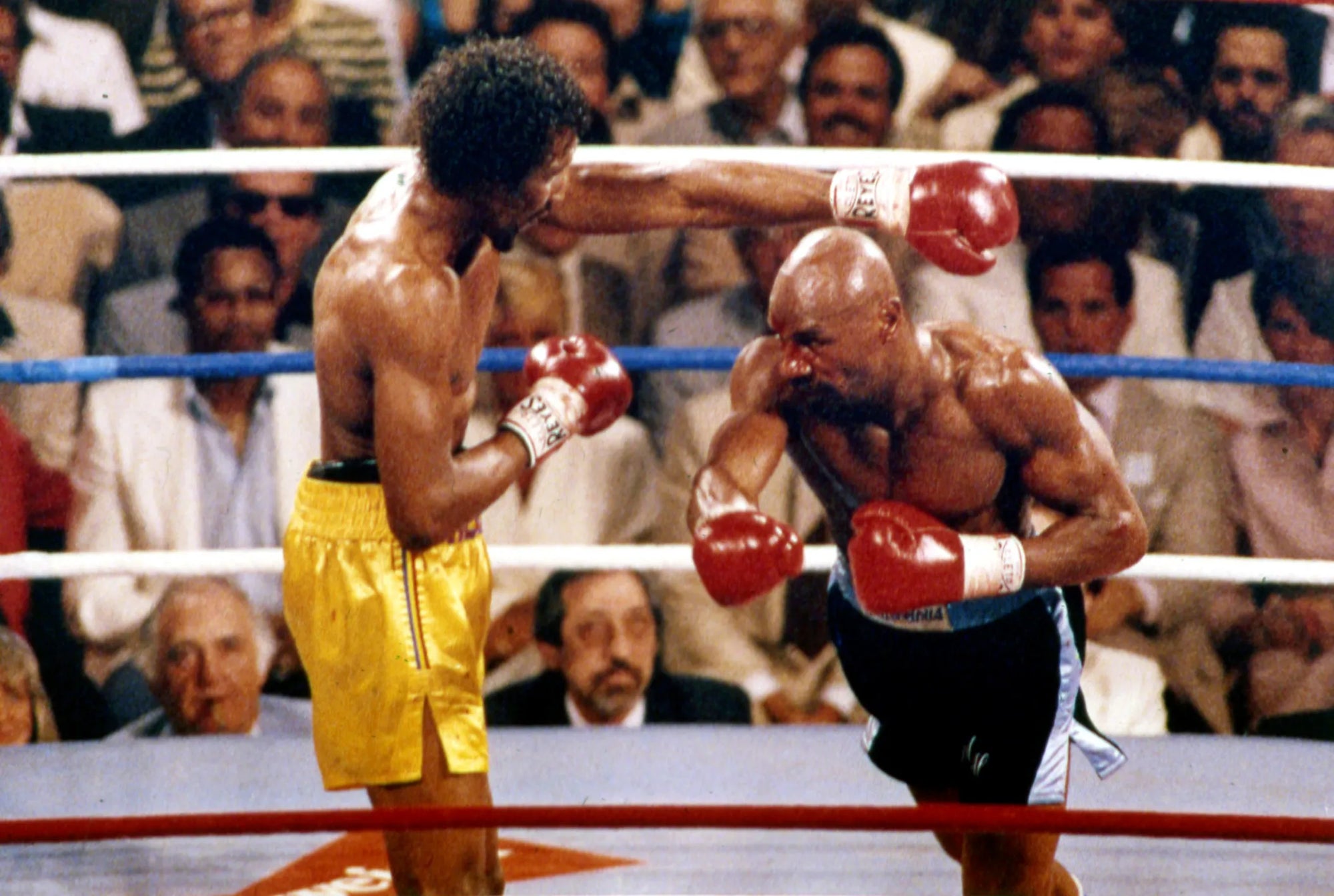 The Four Kings of Boxing