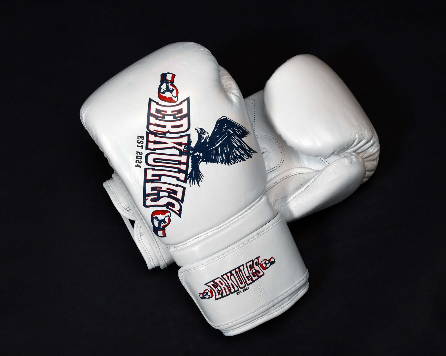 Guantoni Erkules tecnici per sparring